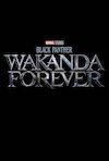 Black Panther Wakanda Poster