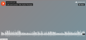 Read more about the article Cole and Connor Tate Audio Package