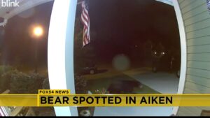 Read more about the article No lions, no tigers, but there was a bear in Aiken