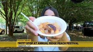 Read more about the article 51 years of the Peach Festival