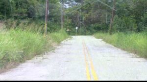 Read more about the article Augusta commission gets into the weeds of the overgrown grass issue